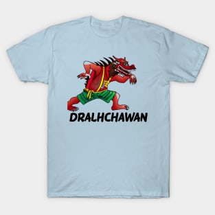 Japanese Dragon T-Shirt